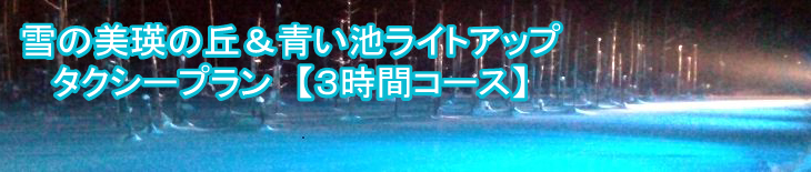 観光タクシープラン 美瑛青い池ライトアップコース(冬)