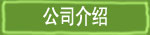 公司介绍