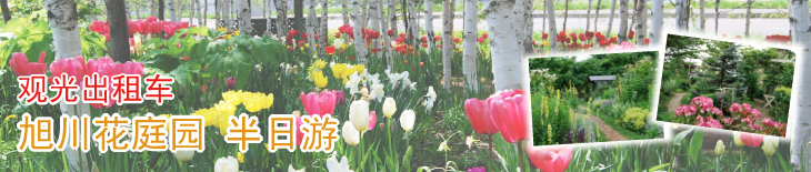 观光出租车 旭川花庭园 半日游