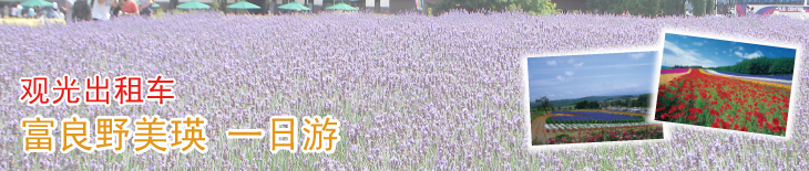 观光出租车 富良野美瑛 一日游
