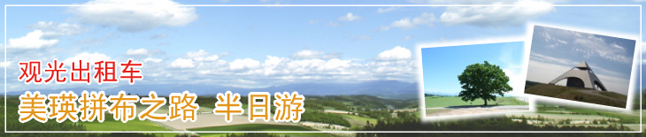 观光出租车 美瑛拼布之路 半日游