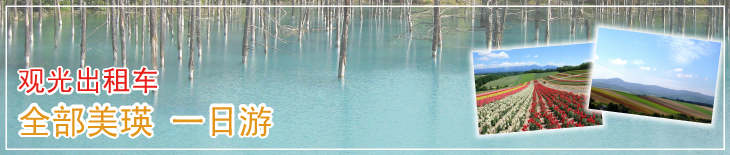 观光出租车 美瑛全部 一日游