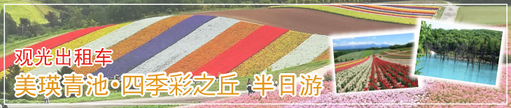 观光出租车 美瑛青池・四季彩之丘 半日游