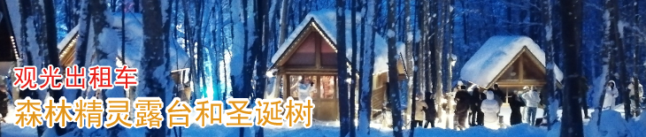 观光出租车 森林精灵露台・圣诞树 半日游