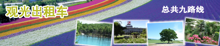 观光出租车