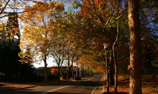 Guide tour in Asahikawa