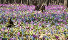 Guide tour in Asahikawa