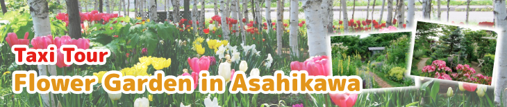 Flower Garden Half day trip