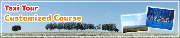 Customized Course Taxi tour