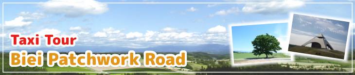 Biei Patchwork Road Half day trip Taxi tour