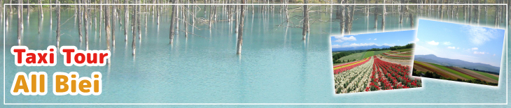 All Biei One day trip Taxi tour