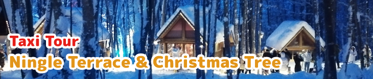 Ningle Terrace and Christmas Tree Half day trip Taxi tour