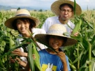 Corn Picking and Tasting
