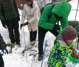 Harvesting Vegetable under Snow and Lunch