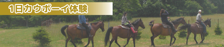 １日カウボーイ(乗馬)体験