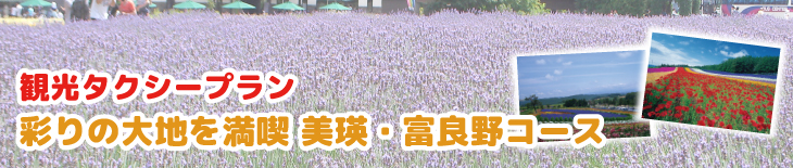 観光タクシープラン　彩りの大地を満喫 富良野・美瑛コース