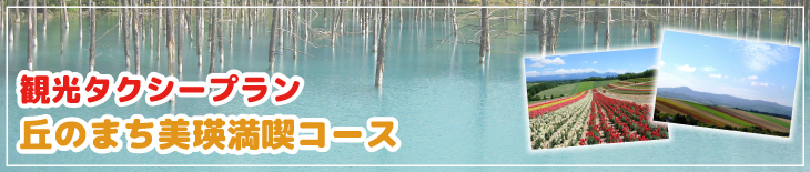 観光タクシープラン　丘のまち美瑛満喫コース