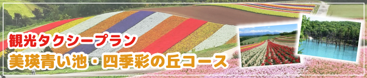 観光タクシープラン　美瑛青い池・四季彩の丘コース