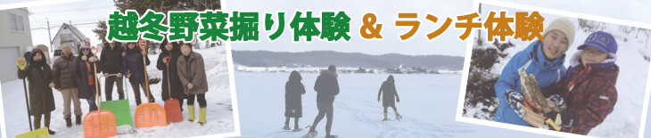 越冬野菜掘り体験＆ランチ体験