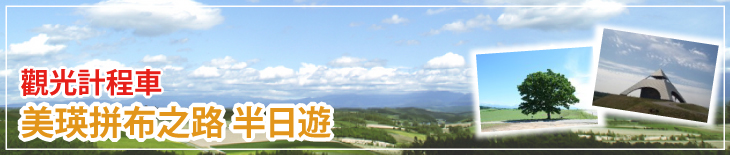 觀光計程車 美瑛拼布之路 半日遊