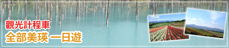 觀光計程車 美瑛全部 一日遊