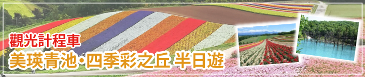 觀光計程車 美瑛青池・四季彩之丘 半日遊